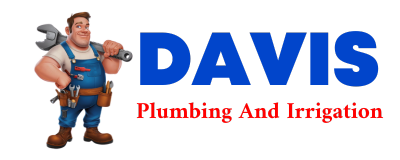 Trusted plumber in DESHLER